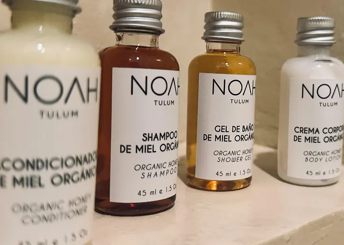 Noah 3* Tulum